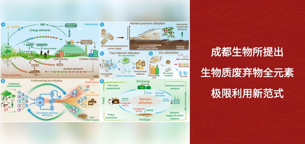 成都生物所提出生物质废弃物全元素极限利用新范式
